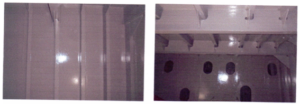 Sherwin image (3)