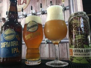 Cerveja-Blumenau-170303-Dogma-Divulgação