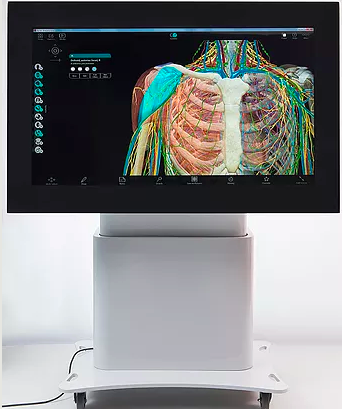 Faculdades De Medicina Apostam Em Simulador 3d Para Substituir