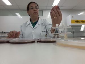 IMG-20171127-WA0016
