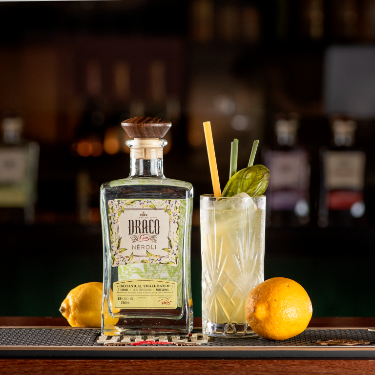 DRINKS COM GIN QUATRO RECEITAS PARA PREPARAR EM CASA Panorama de